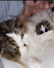 Load image into Gallery viewer, CUSTOM PET Cartoon on any phone