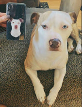 Load image into Gallery viewer, Promo CUSTOM PET Cartoon