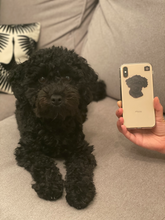 Load image into Gallery viewer, CUSTOM PET Cartoon on any phone
